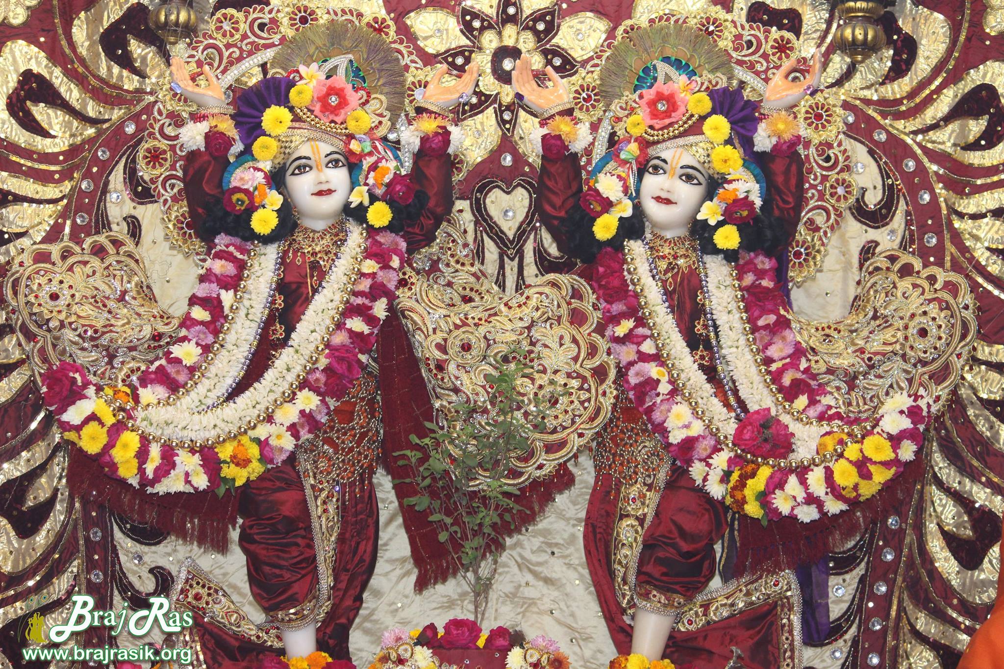 Darshan of Shri Chaitanya Mahaprabhu and Shri Nityanand Prabhu in Krishna Balram Temple, Vrindavan ISKCON