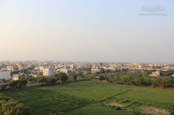 View of green fields near Pagal Baba Ashram
