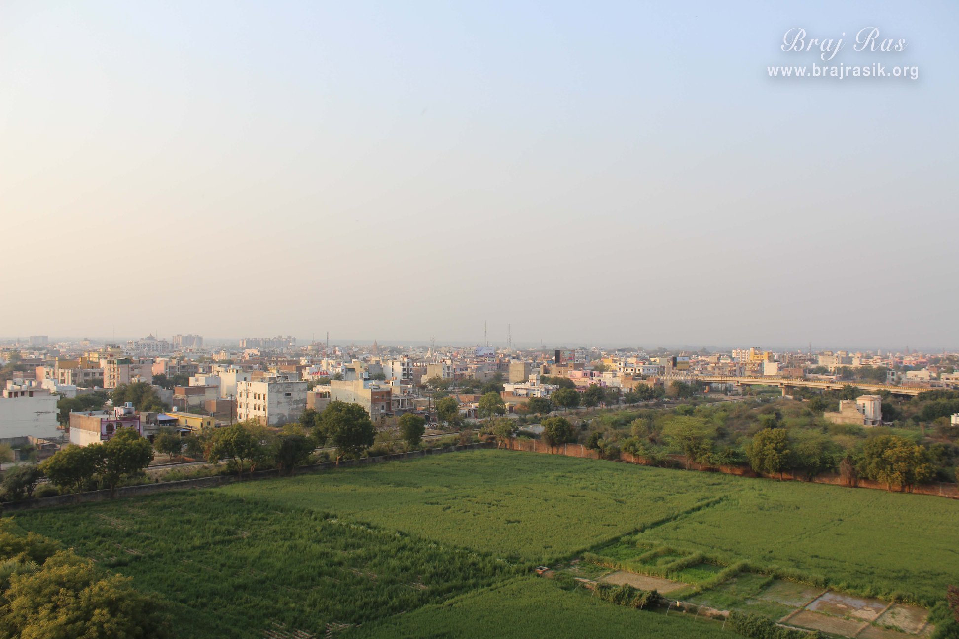 View of green fields near Pagal Baba Ashram