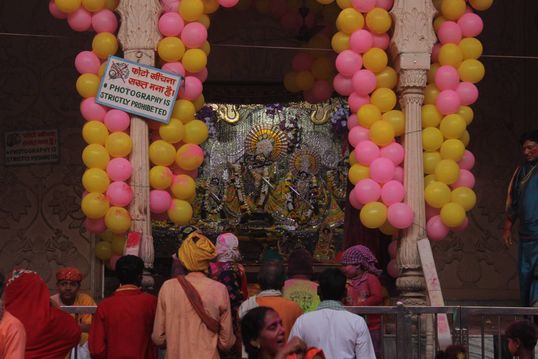 Deity darshan at Holi festival in Shri Radha Damodar Temple, Vrindavan