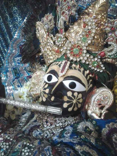 Shri Radha Damodar closeup darshan in Shri Radha Damodar Temple, Vrindavan