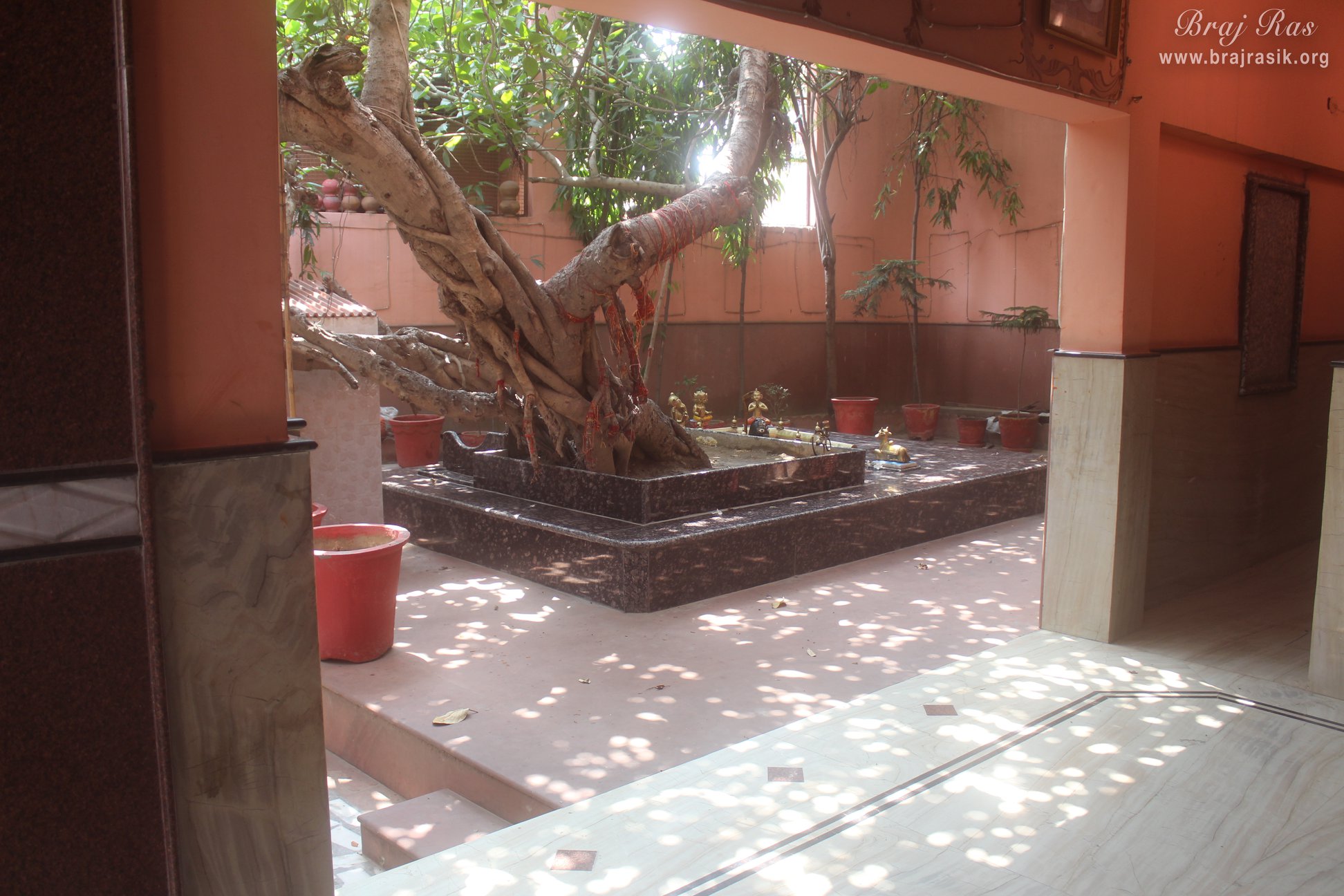 Advaita Vata tree view from inside temple at Advaita Vata, Vrindavan