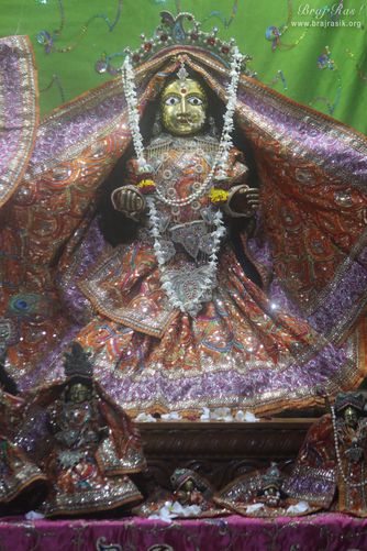 Darshan of Shri Radharani at Advaita Vata, Vrindavan