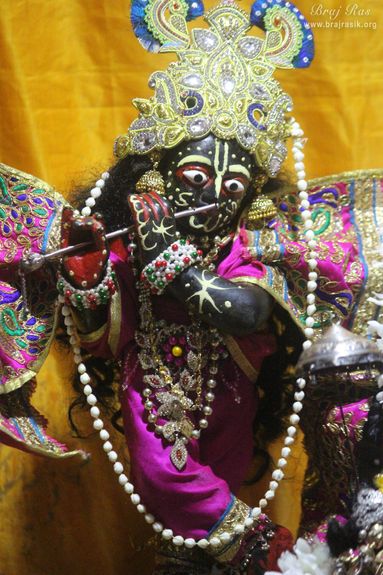 Front full darshan of Lord Krishna at Shri Radha Gokulananda Temple, Vrindavan