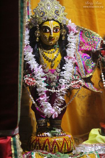 Darshan of Chaitanya Mahaprabhu at Shri Radha Gokulananda Temple, Vrindavan