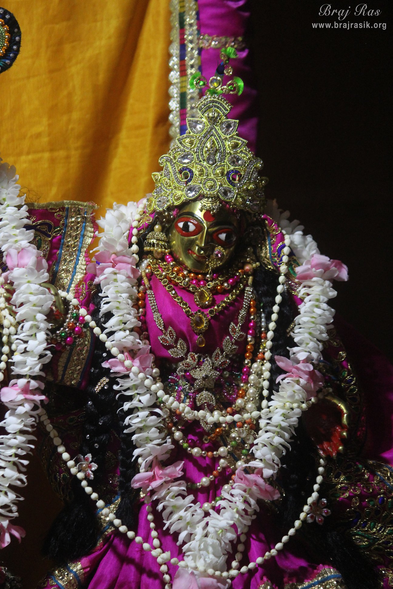A nice and beautiful darshan of Shri Radha at Shri Radha Gokulananda Temple, Vrindavan