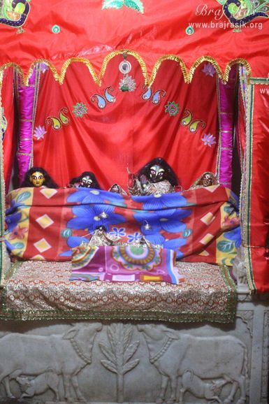 A nice and beautiful darshan of deity in winter at Shri Radha Gokulananda Temple, Vrindavan