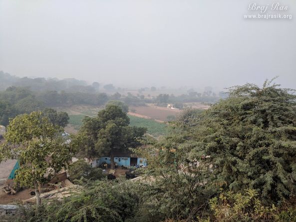 A view of greenery and farm at Uncha Gaon - Lalita Sakhi's Village