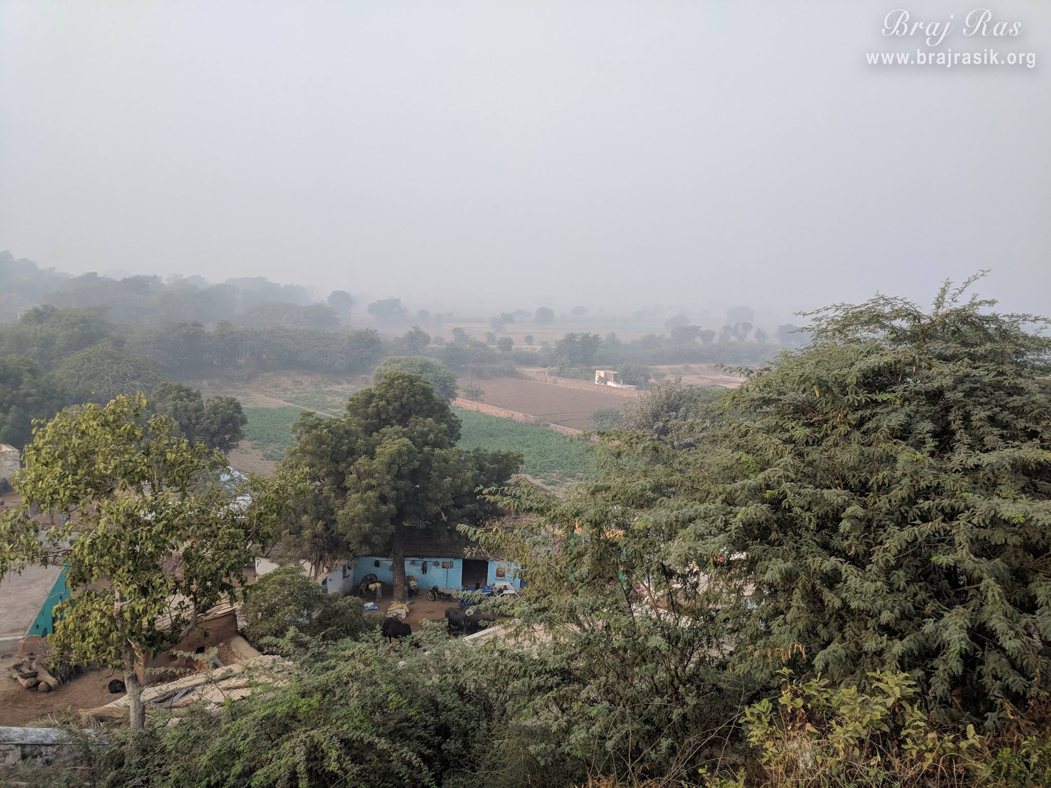 A view of greenery and farm at Uncha Gaon - Lalita Sakhi's Village