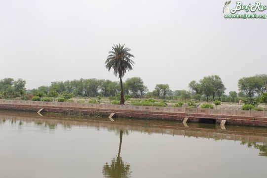 Cross view of lake and forest behind it at Maan Sarovar or Mana Sarovar