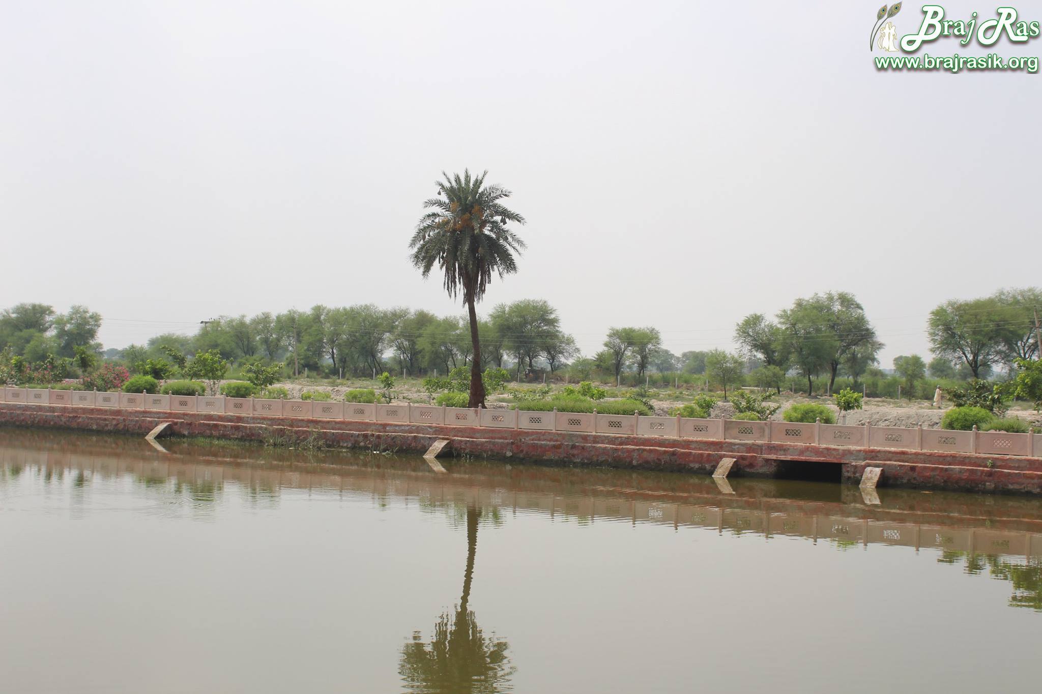 Cross view of lake and forest behind it at Maan Sarovar or Mana Sarovar