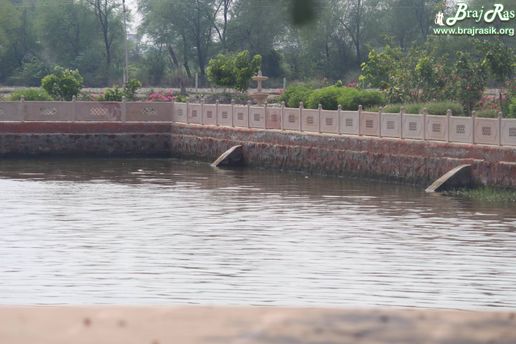 Beautiful flower garden around the lake at Maan Sarovar or Mana Sarovar