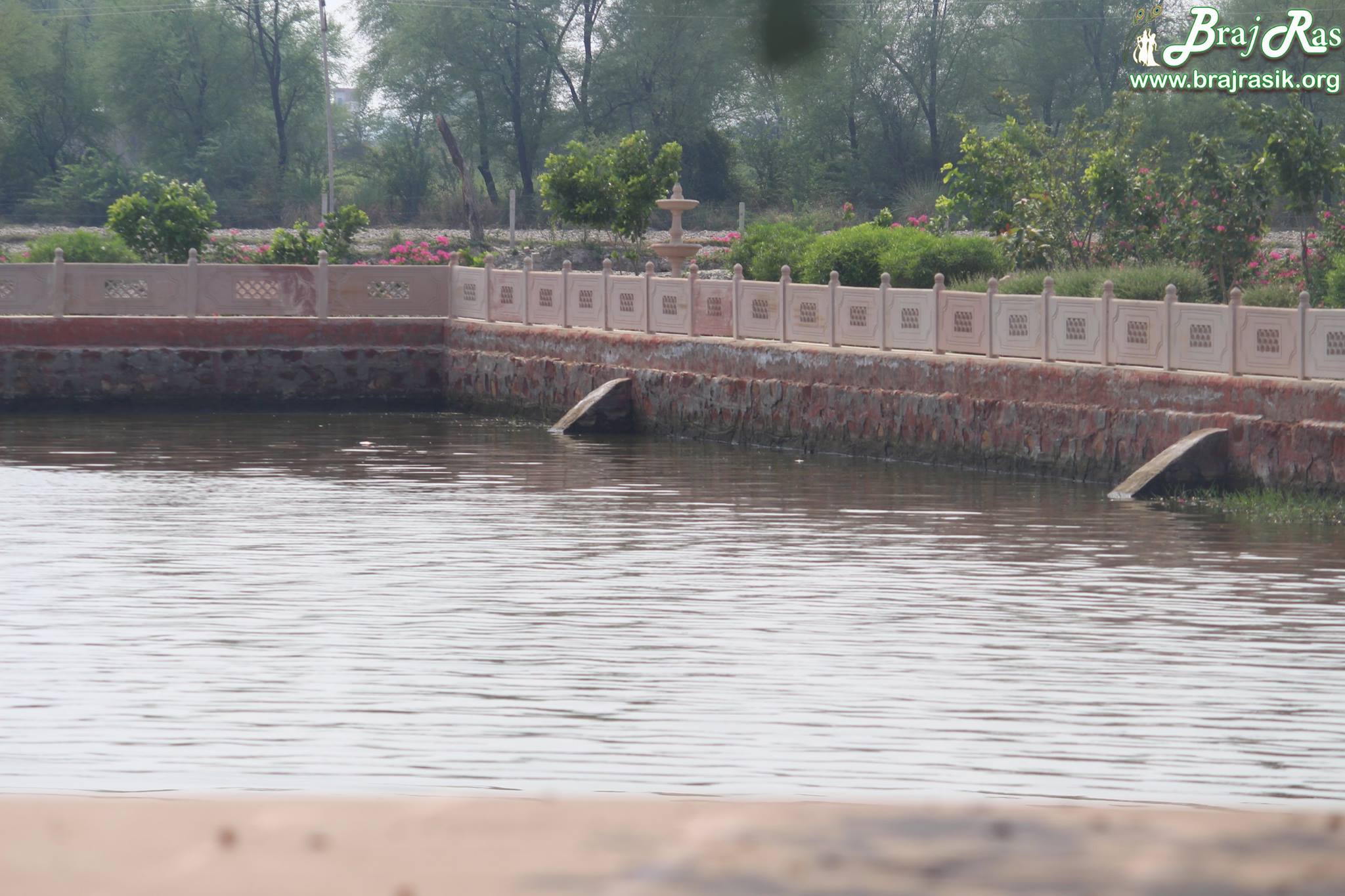 Beautiful flower garden around the lake at Maan Sarovar or Mana Sarovar