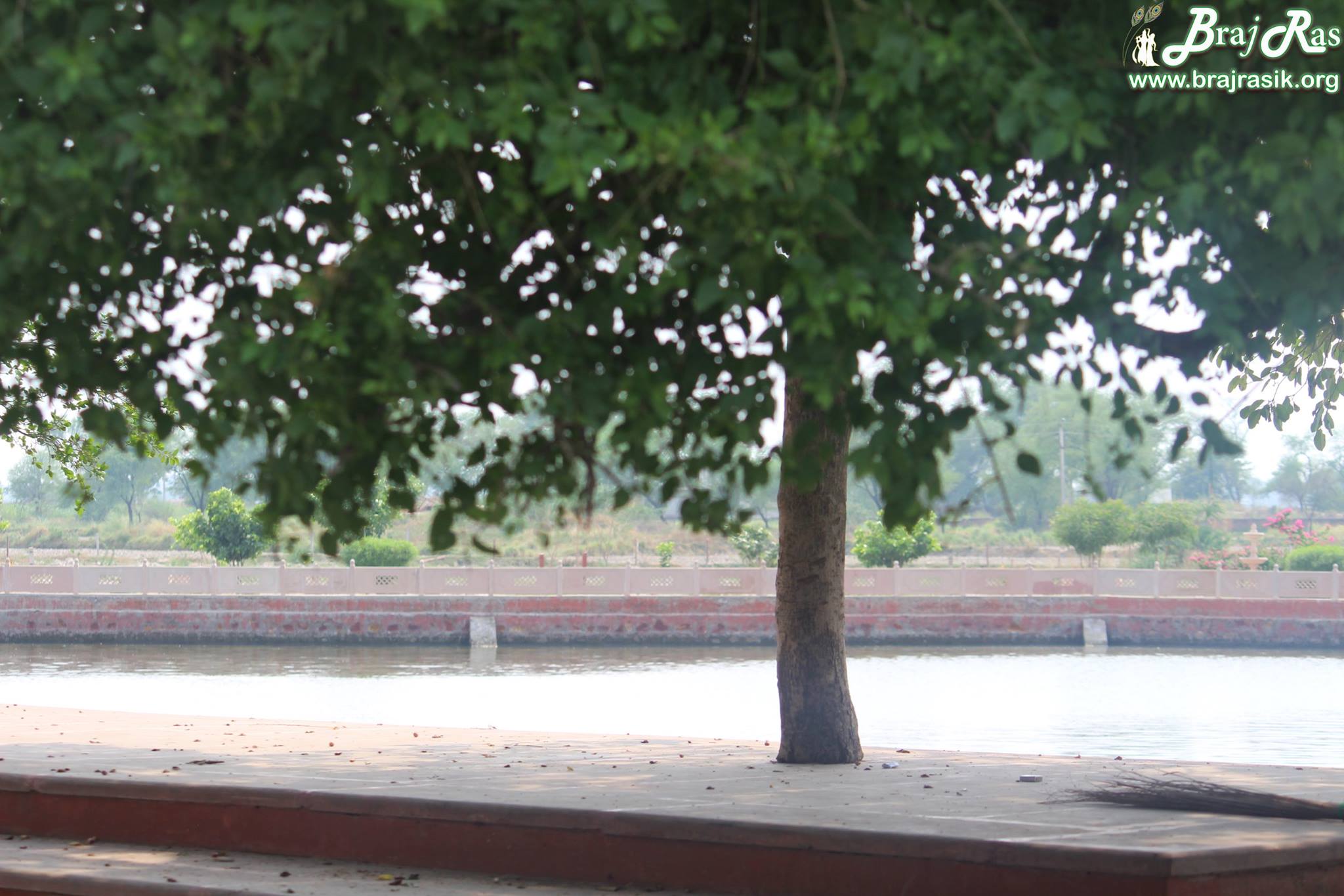 View of the lake from above the stairs at Maan Sarovar or Mana Sarovar