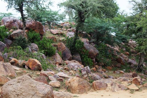 Divine darshan of the rocks at Giriraj Govardhan, Braj