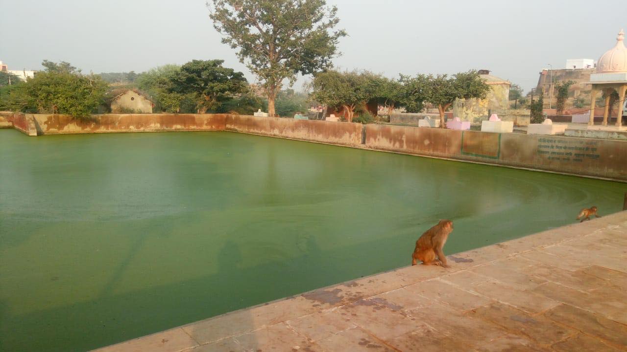 Apsara Kund sunny view at Giriraj Govardhan, Braj