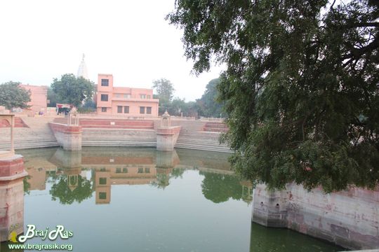 View from behind a neem tree at Prem Sarovar - Barsana