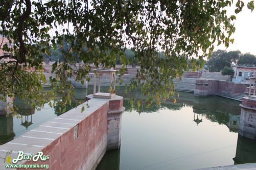 A nice view from behind a tree at Prem Sarovar - Barsana