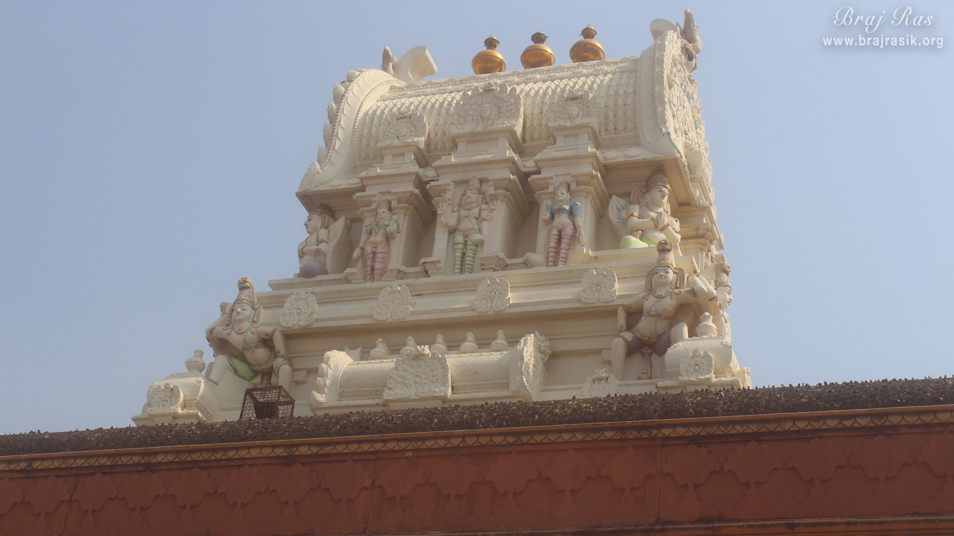 श्री रंगजी मंदिर, वृंदावन में मंदिर के शीर्ष पर विभिन्न देवताओं की नक्काशी की गई है