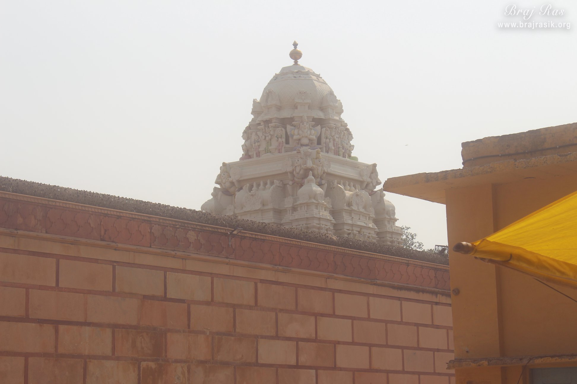 श्री रंगजी मंदिर, वृंदावन में मंदिर के शीर्ष पर की गई देवताओं की नक्काशी का एक और दृश्य