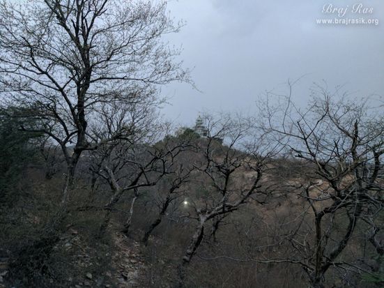 The divine conscious trees at Morkuti, Barsana