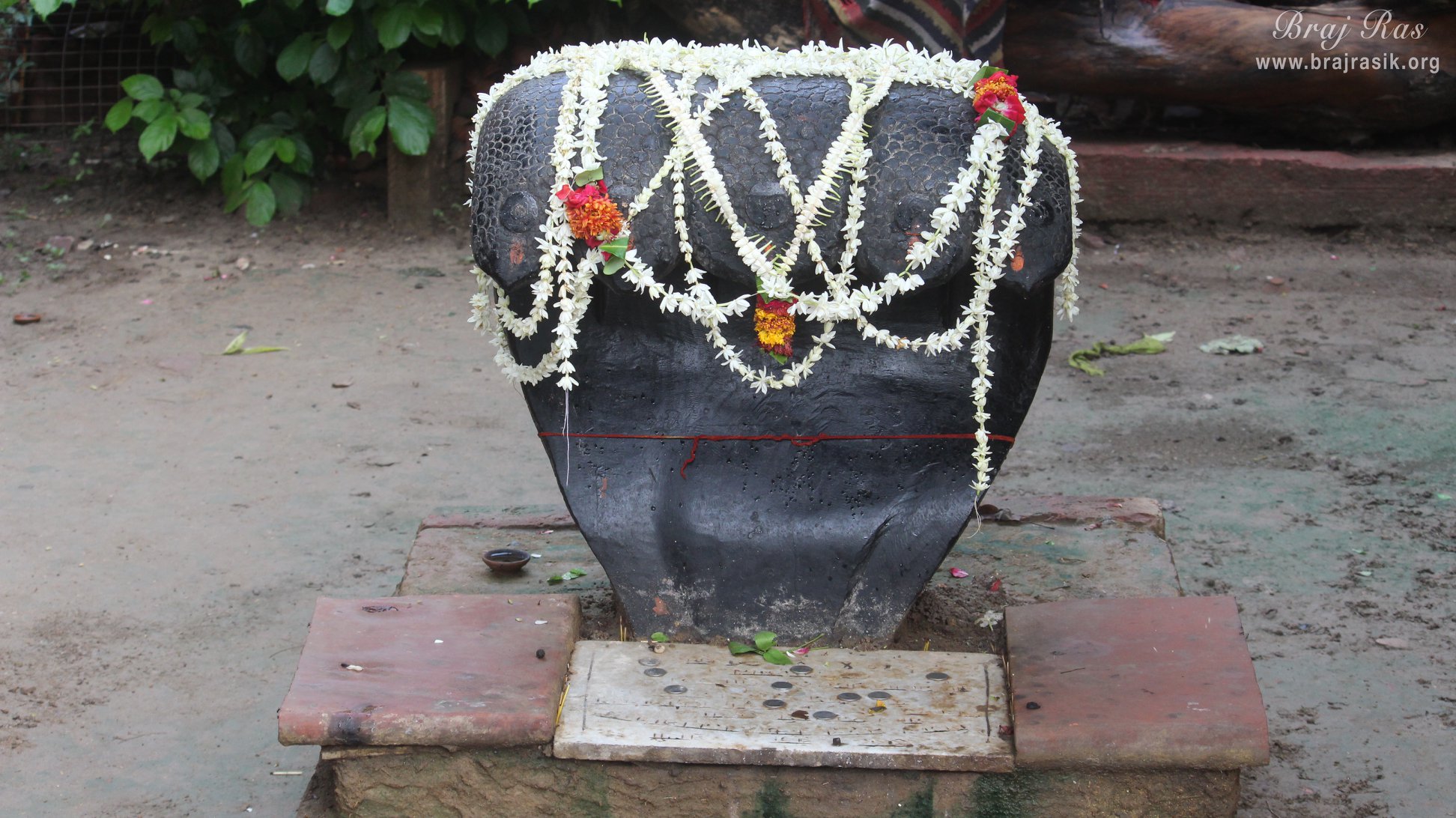 कालिय दह या कालिया घाट, वृंदावन में कालिया नाग के दर्शन
