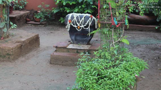 Distant darshan of Kaliya Serpent in Kaliya Deh or Kaliya Ghat, Vrindavan