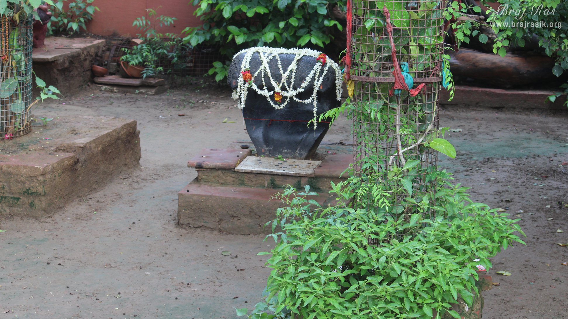 कालिय दह या कालिया घाट, वृंदावन में कालिया नाग के दूर के दर्शन