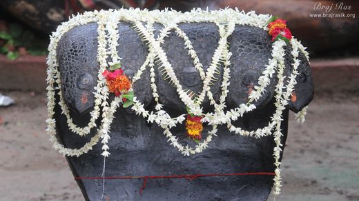 Close darshan of Kaliya Serpent in Kaliya Deh or Kaliya Ghat, Vrindavan