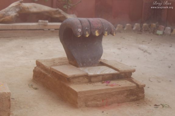 A cross view darshan of Kaliya Serpent in Kaliya Deh or Kaliya Ghat, Vrindavan