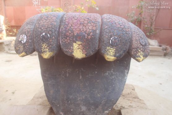 A front view darshan of Kaliya Serpent in Kaliya Deh or Kaliya Ghat, Vrindavan