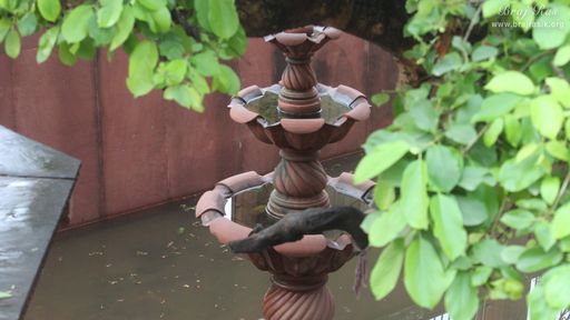 View of water fountain at Kaliya Deh or Kaliya Ghat, Vrindavan
