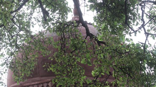 View of dome of the Kuti at Kaliya Deh or Kaliya Ghat, Vrindavan