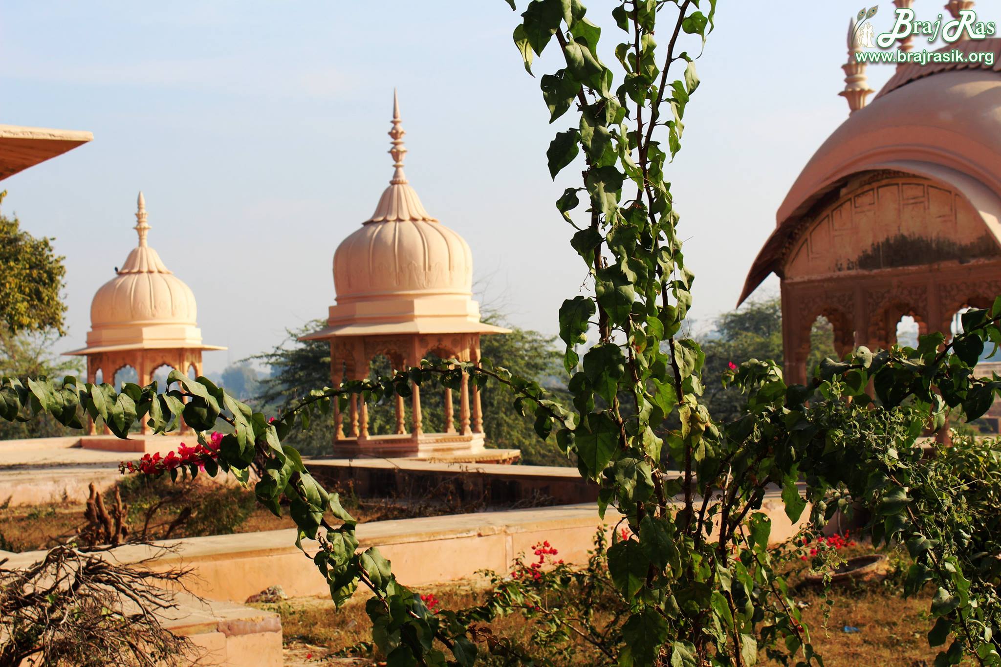कुसुम सरोवर में सुंदर कुटी और बगीचों का एक दृश्य