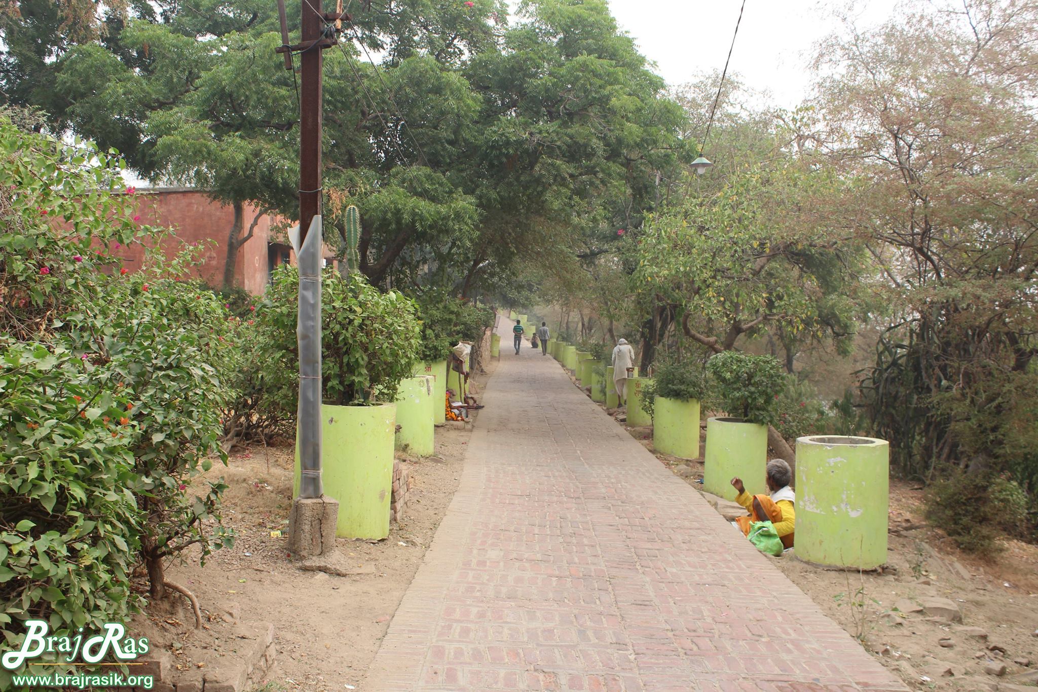 राधारानी मंदिर, बरसाना में गहवर वन के रास्ते का दृश्य