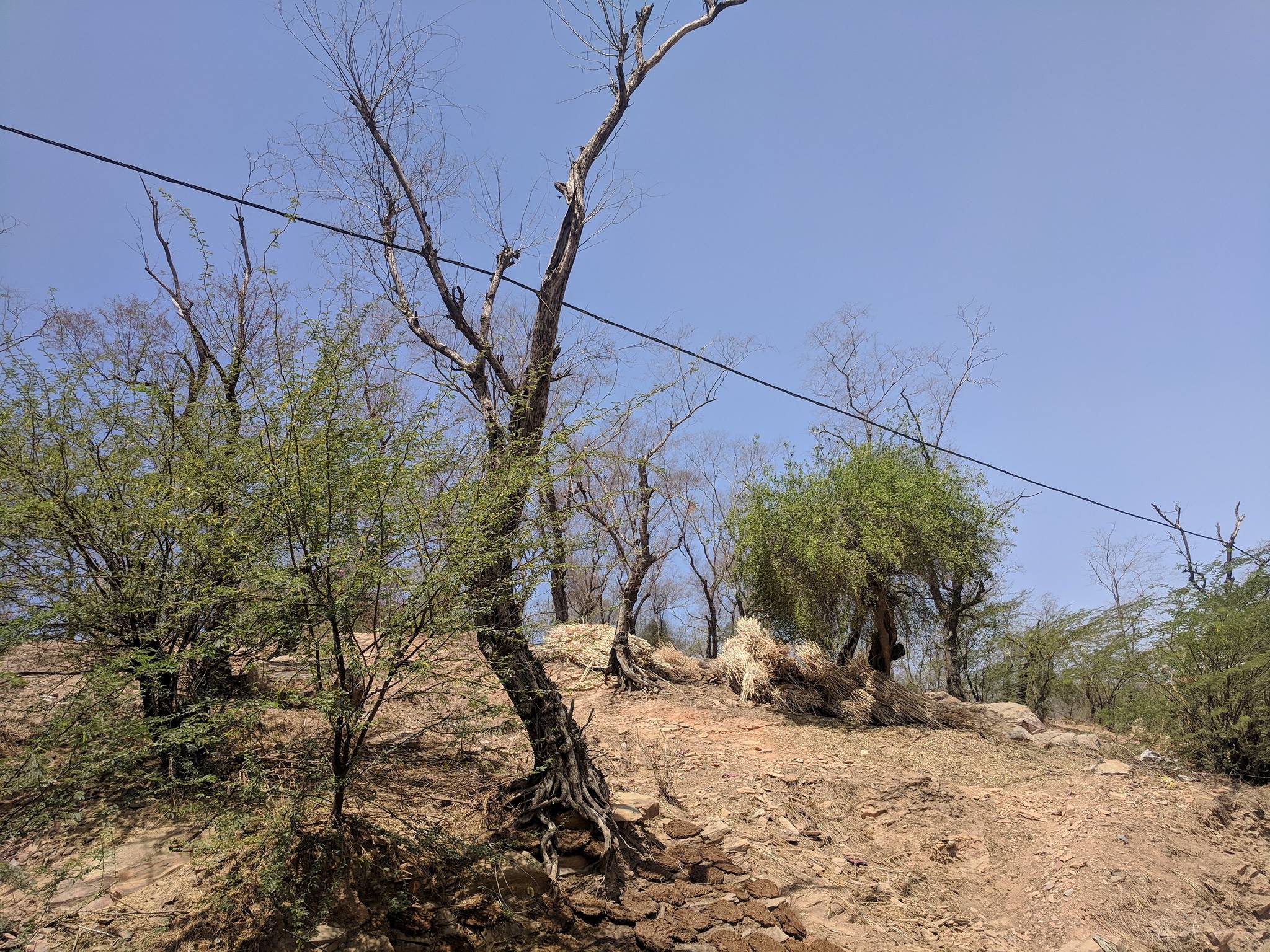 श्री राधारानी मंदिर, बरसाना के पास का दृश्य