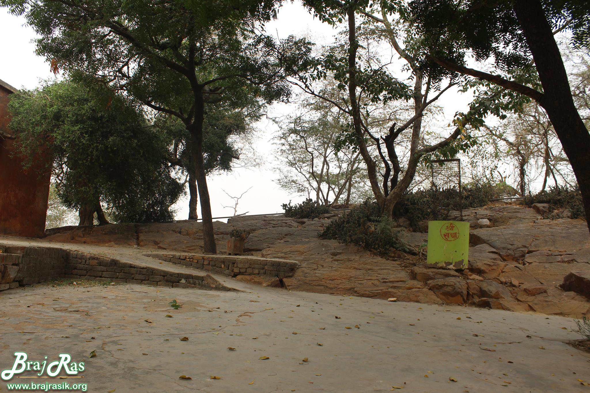 श्री राधारानी मंदिर, बरसाना में मंदिर के परिवेश का एक और दृश्य