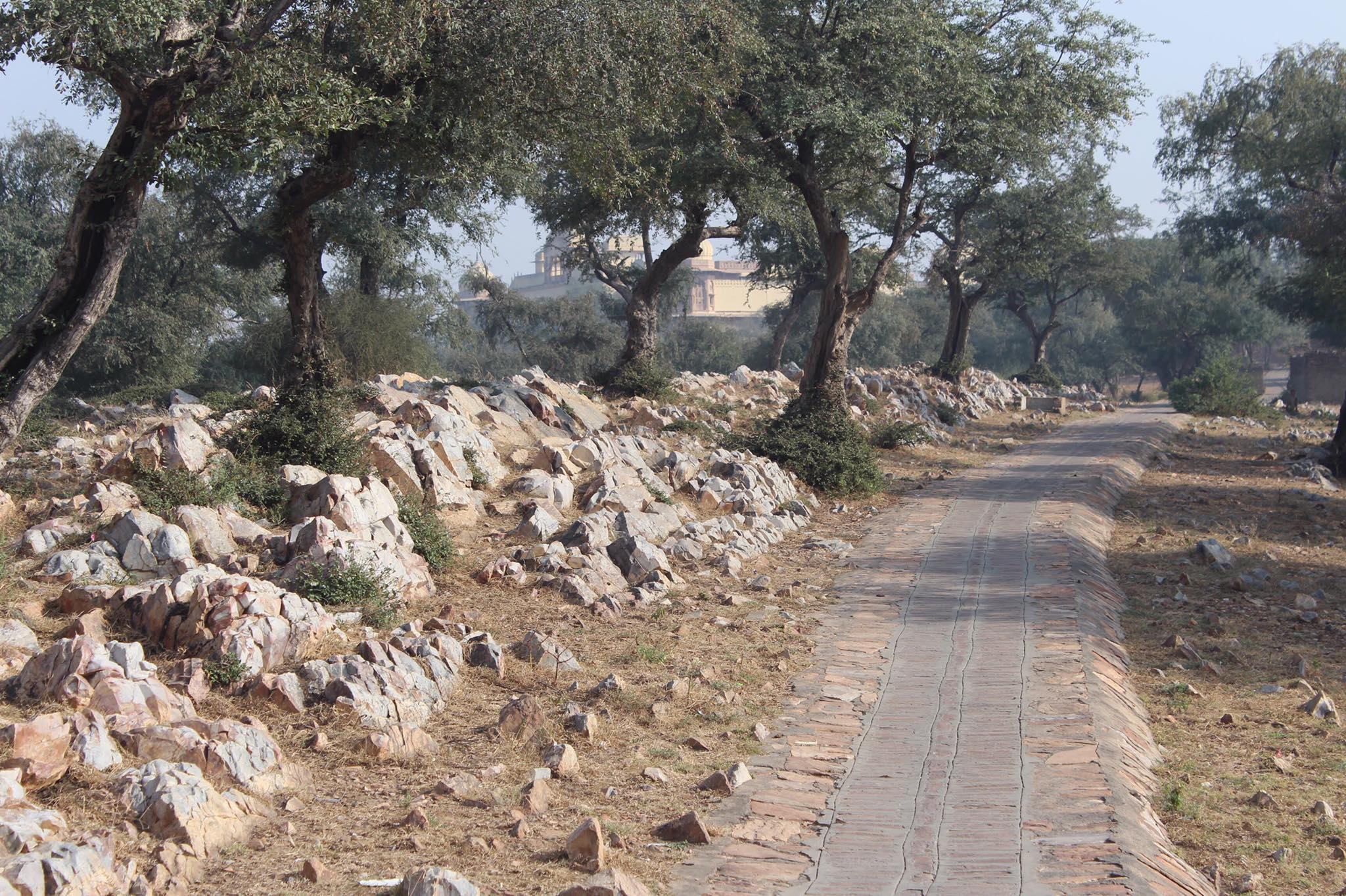 A beautiful view of divine parikrama marg of Shri Dham Barsana at Gahvar Van, Barsana