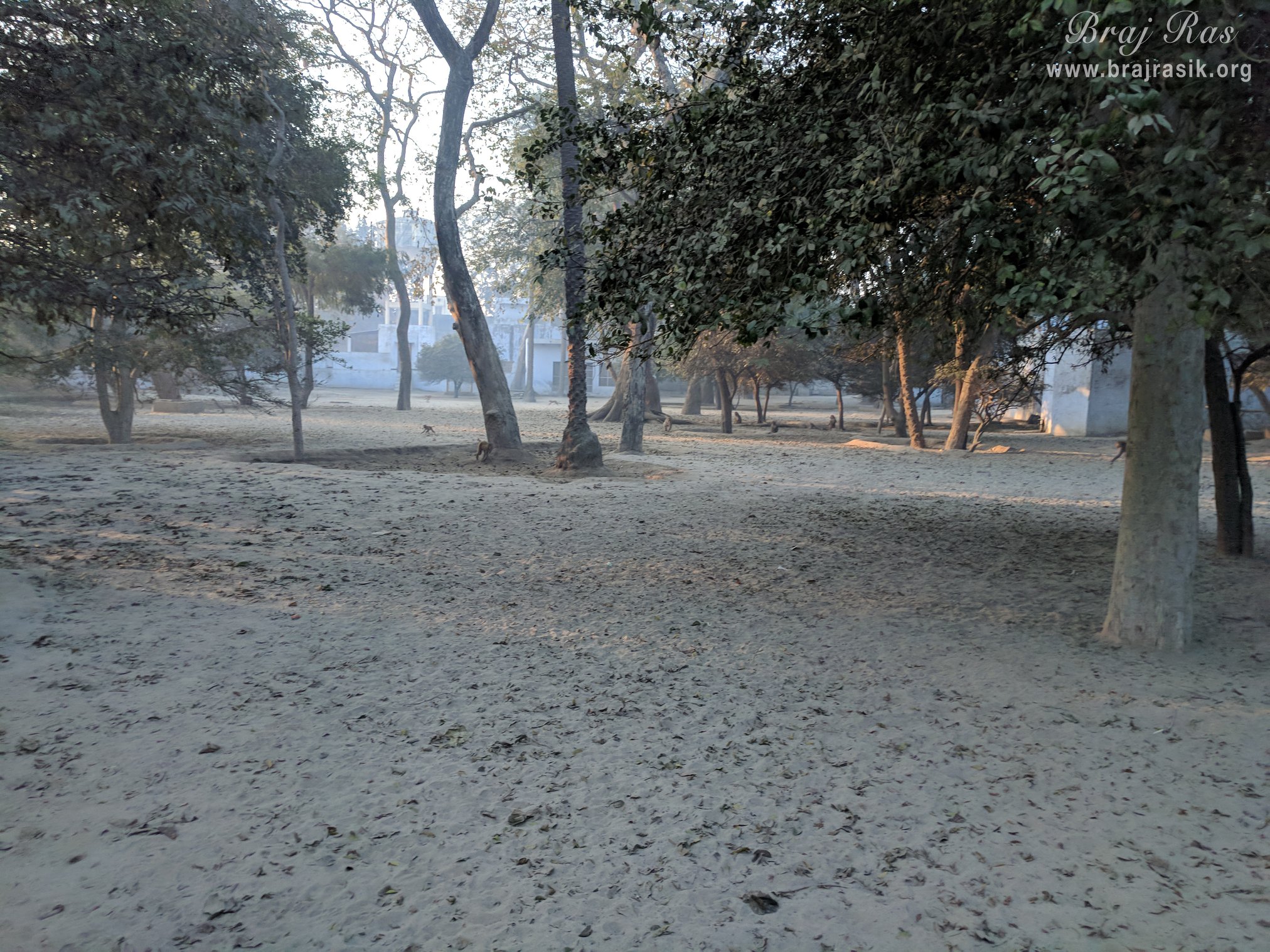 टटिया स्थान, वृंदावन में श्री वृंदावन धाम का दिव्य रज