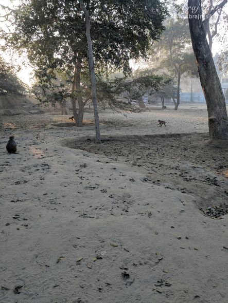 An attractive view of Tatiya Sthan, Vrindavan