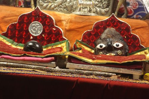 Darshan of Shri Shaligram Ji and Shri Giriraj Ji in Shri Radha Gopinath Ji Temple, Vrindavan