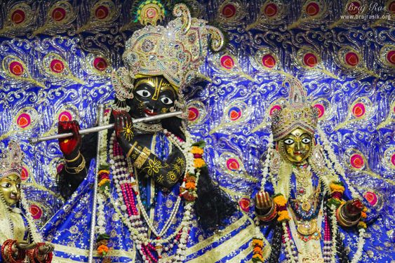 A nice Darshan of Shri Radha Krishna in blue attire at Shriji Ka Mandir, Vrindavan