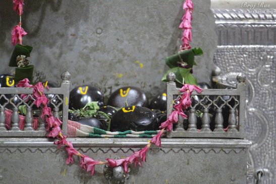 Darshan of Shri Shaligram Ji at Shriji Ka Mandir, Vrindavan