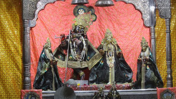 Darshan of Shri Radha Krishna in the attire of peacock feather design at Shriji Ka Mandir, Vrindavan