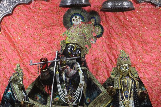 Close darshan of Shri Radha Krishna in the attire of peacock feather design at Shriji Ka Mandir, Vrindavan
