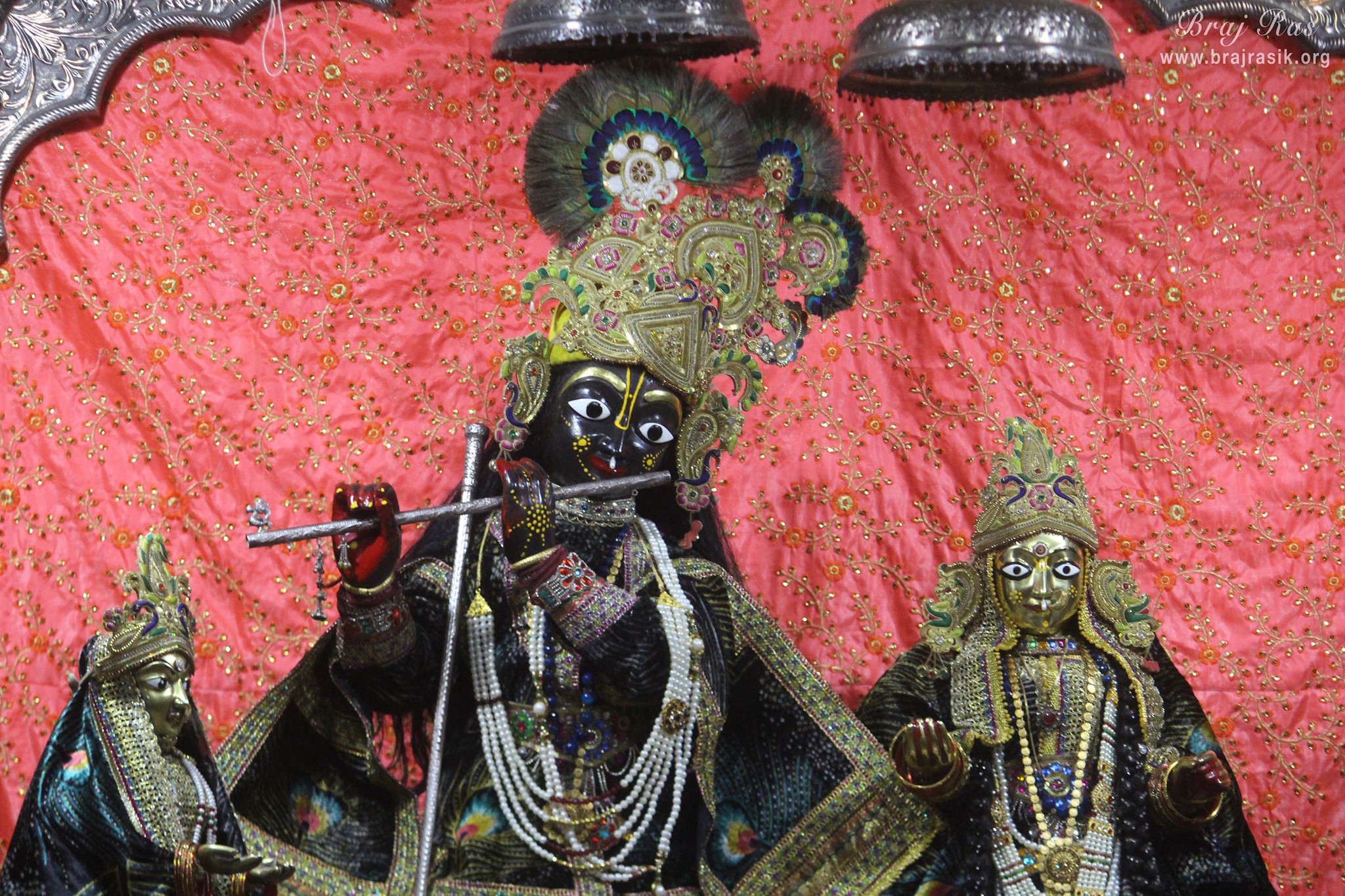 श्रीजी का मंदिर, वृंदावन में मोर पंख के चित्र वाले पोशाक में श्री राधा कृष्ण के निकट से दर्शन