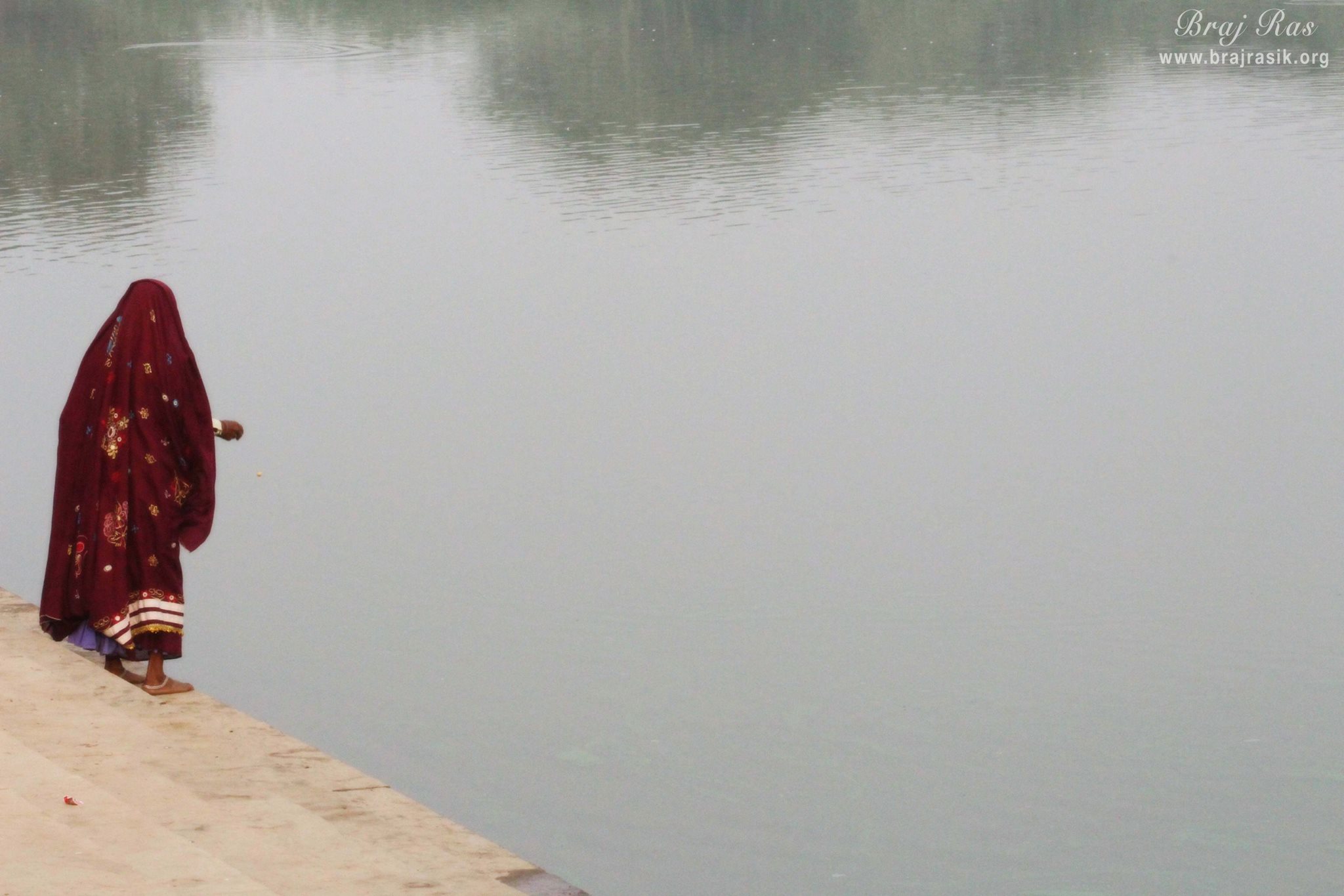 A devotee throwing food for ducks and fish in Deha Kunda, Braj