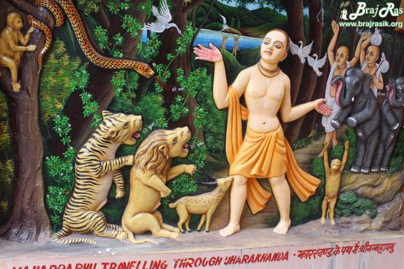 View of Leela of Sri Chaitanya Mahaprabhu walking from the forest of Jharkhand to Vrindavan at Imlitala, Vrindavan