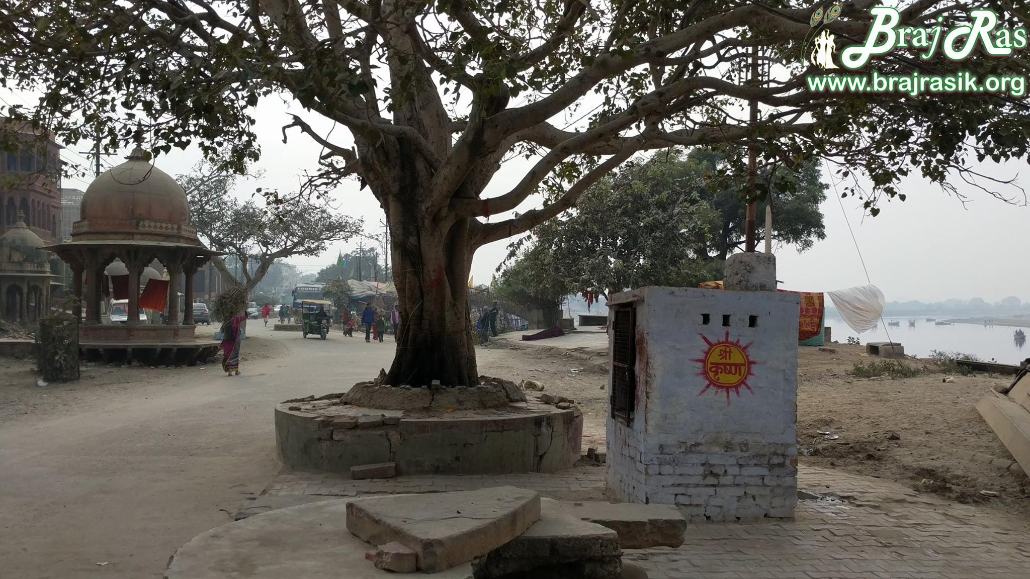 View of parikrama marg and Yamuna Ji outside Imlitala, Vrindavan