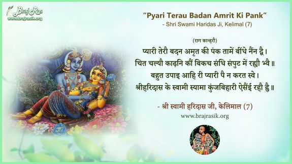 Pyari Terau Badan Amrit Ki Pank Taamein - Shri Haridas Ji, Kelimal (7)